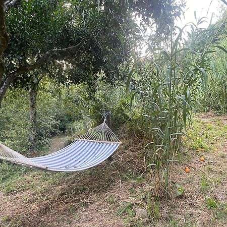 Nascente, Place In Nature Next To A Waterfall Loureiro  Exterior foto