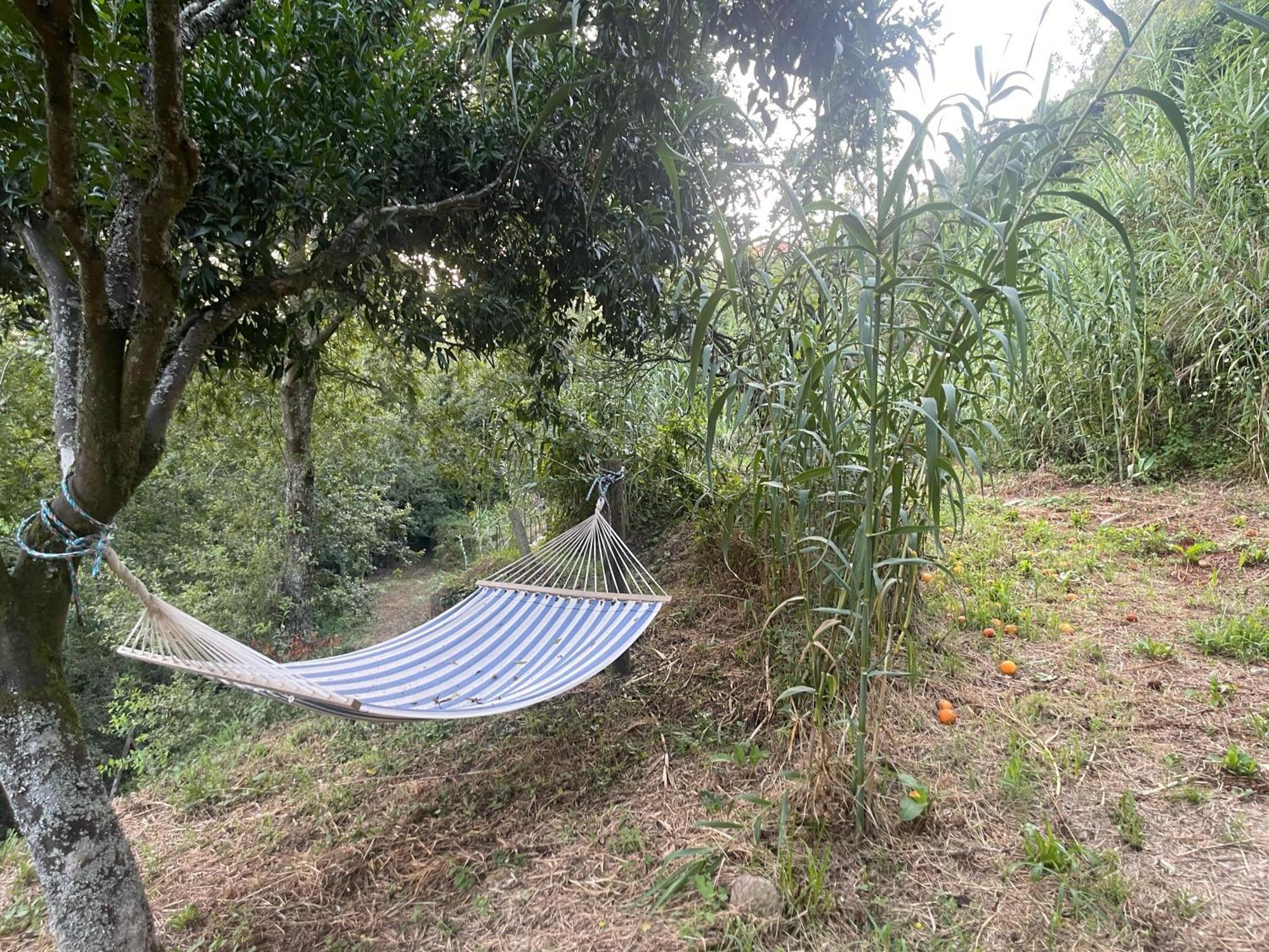 Nascente, Place In Nature Next To A Waterfall Loureiro  Exterior foto