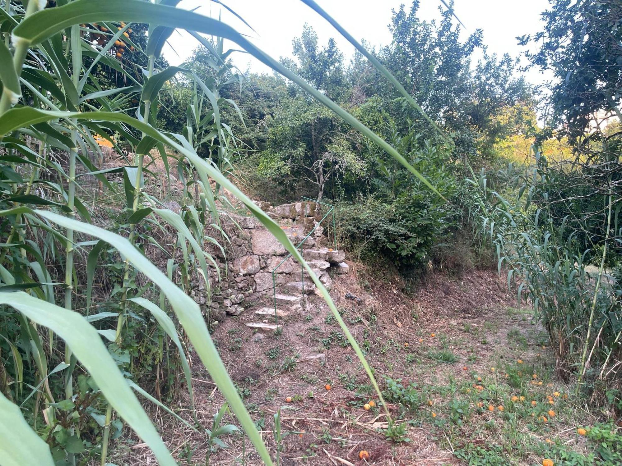 Nascente, Place In Nature Next To A Waterfall Loureiro  Exterior foto