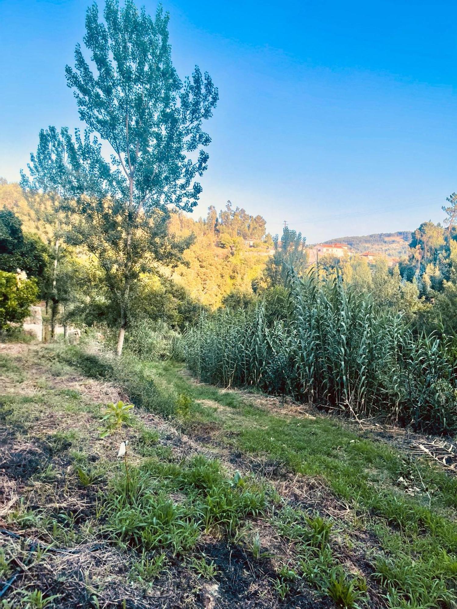 Nascente, Place In Nature Next To A Waterfall Loureiro  Exterior foto